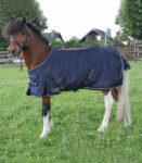 COPERTA PULEDRO/SHETTY IMPERMEABILE LIGHT Paddock Light 